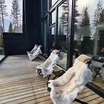 Villa Levi Frame Valkiava