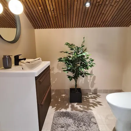 Levi Frame Valkiava Villa *