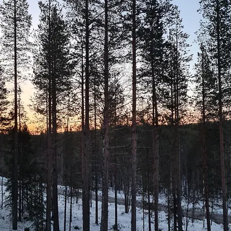 Vila Levi Frame Valkiava