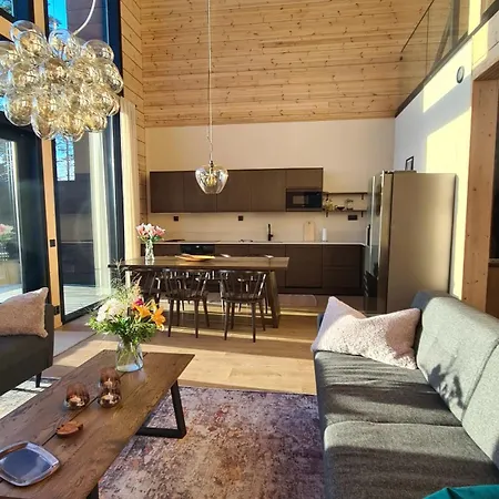 Levi Frame Valkiava Villa